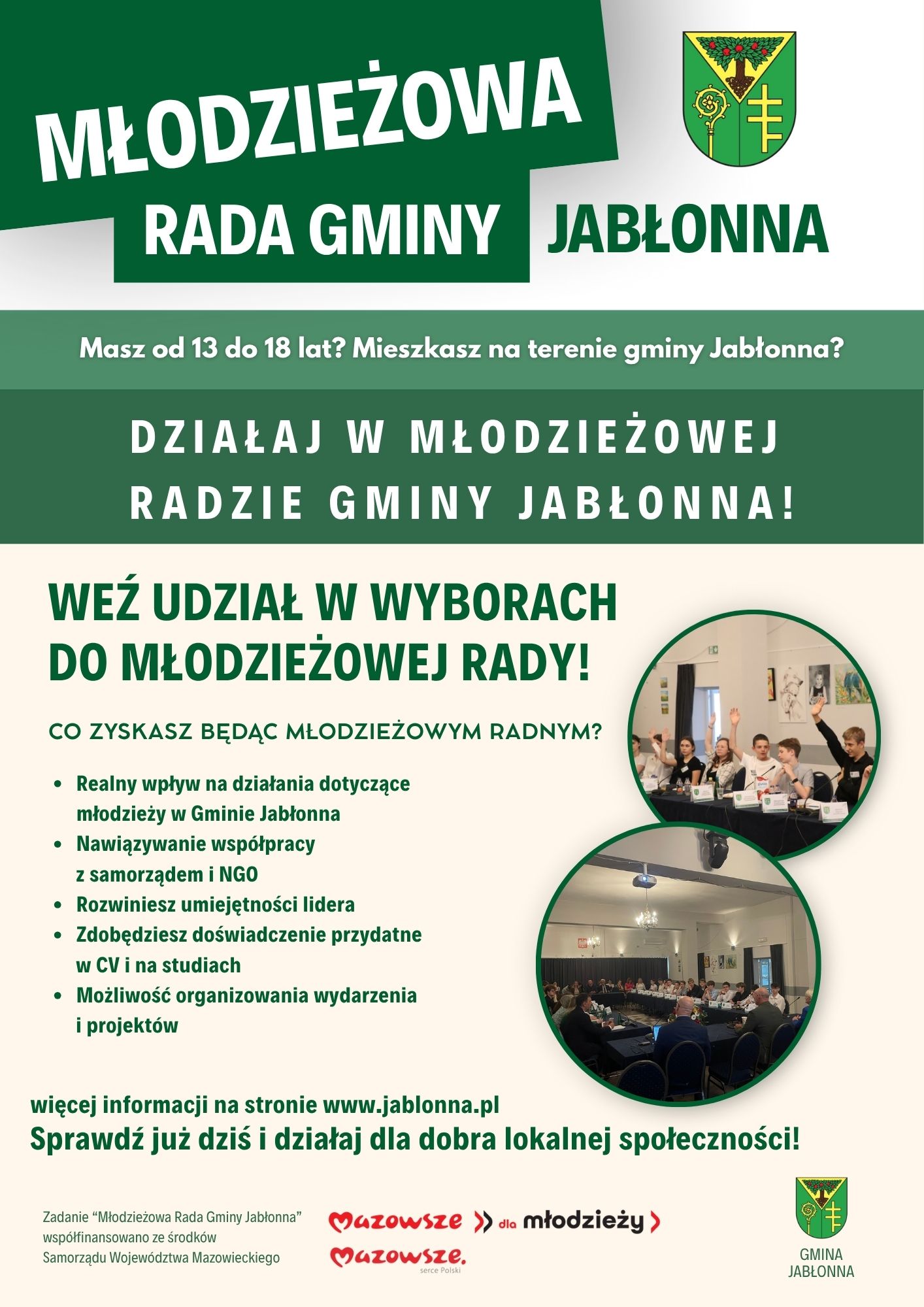 Ikona